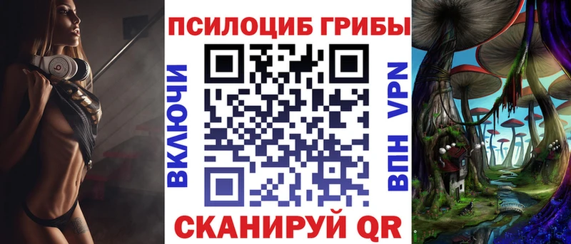 дарнет шоп  Ряжск  Галлюциногенные грибы мицелий 